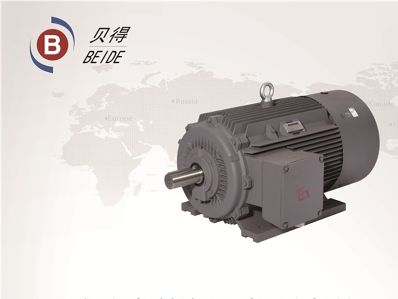 1MT0 系列粉塵防爆低壓三相異步電動機(jī)
